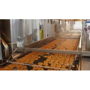 Custom Tailor Industrial Automatic Donut Making Machine With Turnkey Bakery