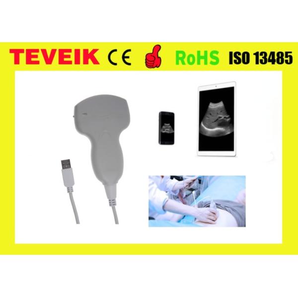 Quality Cheaper USB Convex Probe Mini Ultrasound Device USB ultrasound scanner For Laptop/ Mobile wholesale