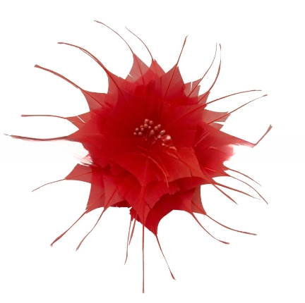 Add a Touch of Elegance to Your Event Party Supplies with Goose Feather Flower Mount