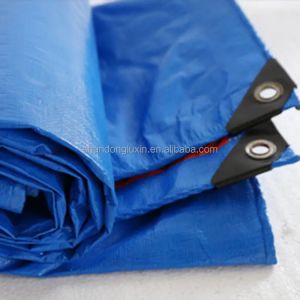 Customized Size Awning PE Tarpaulin for Agricultural Greenhouse Waterproof Heavy