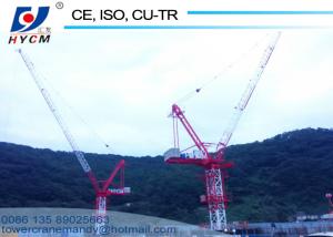 Cheap Huge D5020 50M Boom Jib Luffing Crane Tower 10tons Load Split Mast Section to Save Containers for sale
