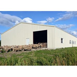 Recyclable Easy Assemble Metal Frame Structure Construction Fast Building