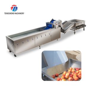 Fruit bubble washing and sorting production line Fruit Vegetable FOOD processing