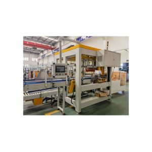 Full Automatic Case Packer for Bottles Advantage 100% Automatic Grade Automatic
