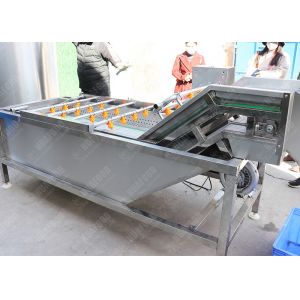 Leaf And Vegetables Food Processing Cabbage Wash Machine