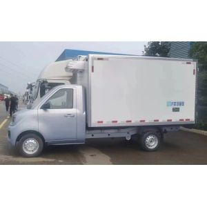 Frozen Goods Storage Foton Wide-Body Manual Transmission Refrigerated Truck with