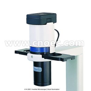 Phase Contrast Inverted Optical Microscope