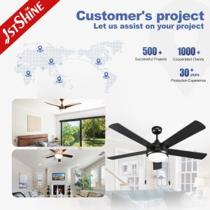 110V 220V AC No Sound Ceiling Fan Modern Design Plywood Blades