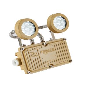 5W LED Industrial Emergency Light Energy Saving Dual Lite Emergency Light