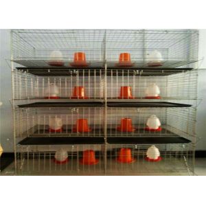 20 Years Lifespan Galvanized 4 Doors Easy Installed H Type Broiler Chicken Cages