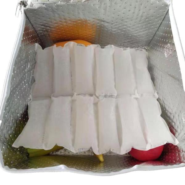 Quality Reusable Shipping Cold Packs Dry Ice For Shipping Food Flexible Ice Blanket Freezer wholesale