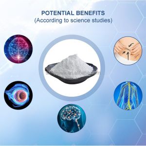 High-Purity Citicoline 98% Powder (CDP Choline) for Cognitive Support &