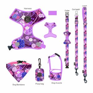 ultra Comfort Collar Leash Harness Set