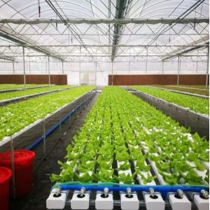 100x50mm Nft Hydroponic Gutter System Rain Pvc Channels Grow System For Lettuce