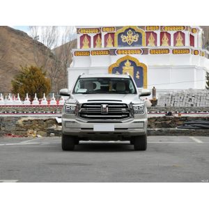 China Gasoline Petrol Hybrid Cars 3.0T Sports Version Built 5  Seats Gold Tank 500 2023 on sale