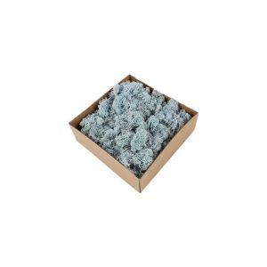 China Stabilized Valentine Gift Preserved Natural Moss In Box on sale