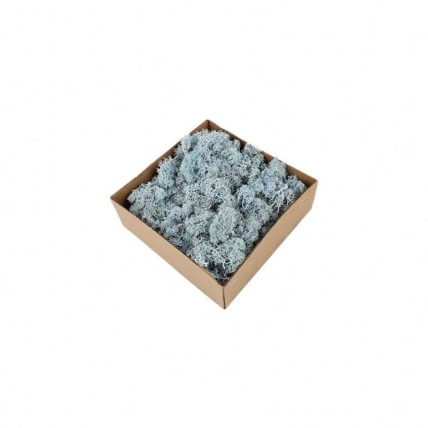 Quality Stabilized Valentine Gift Preserved Natural Moss In Box wholesale