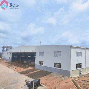 Customized Construction Prefabricated Steel Structure Warehouse With Fire-Proof