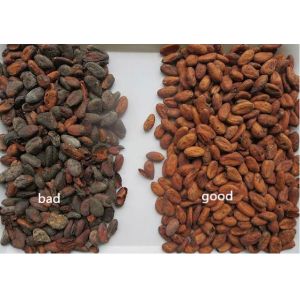 Red Kidney Green Beans Color Sorting Machine Automatic Computing