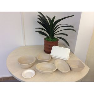 Easy Operate Sugarcane Bagasse Plates Machine , Bamboo Cutlery Making Machine