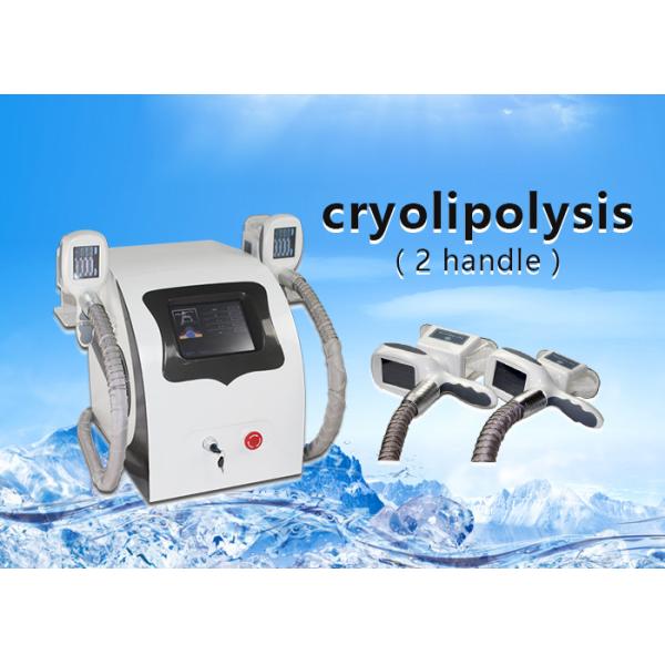 Quality 2 Handle portable Cryolipolysis slmming machine , fat freeze machine -2℃~-20℃ freezing temperature wholesale