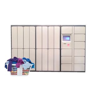 Integrated With Api Winnsen 15 Inch Laundry Locker