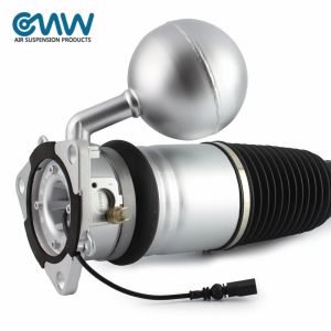 Cheap Air Ride Suspension Bentley Continental Struts Phaeton Rear 3D0616001J 3D0616002J for sale