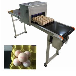 Industrial Safety Edible Ink Batch Coding Inkjet Printer For Food Package Eggs