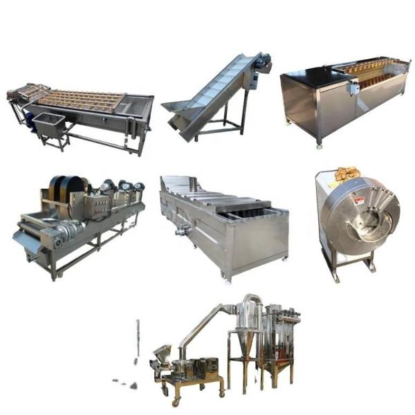 Automatic Ginger Garlic Powder Making Machine Dehydration