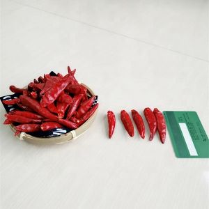 China High Vitamin C Chile Guajillo Pods Natural Ingredients Great Taste on sale
