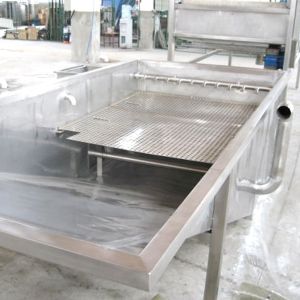 China Automatic Industrial Bubble Washing Machine For Vegetable Fruit 220V on sale