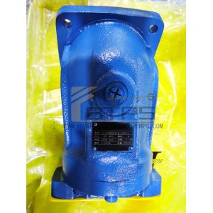 China REXROTH A2FM A2 A2F28W3Z4 HYDRAULIC PUMP HYDRAULIC MOTOR WITH DOUBLE ROTATION on sale
