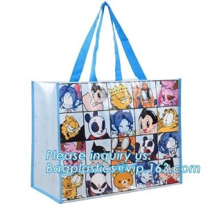 Large Eco Friendly PP Woven Shopping Bag,Promotional Cheap Custom PP Woven Tote