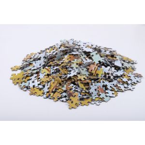 OEM 500 Jigsaw Puzzles Customized Printing Rectangular