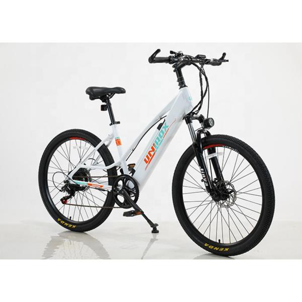 Eco-friendly Electric-driven Folding Bicycle with Custom Design and Lithium