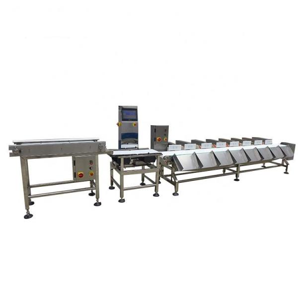 Quality Fresh Seafood SUS304 Automatic Weight Sorting Machine wholesale