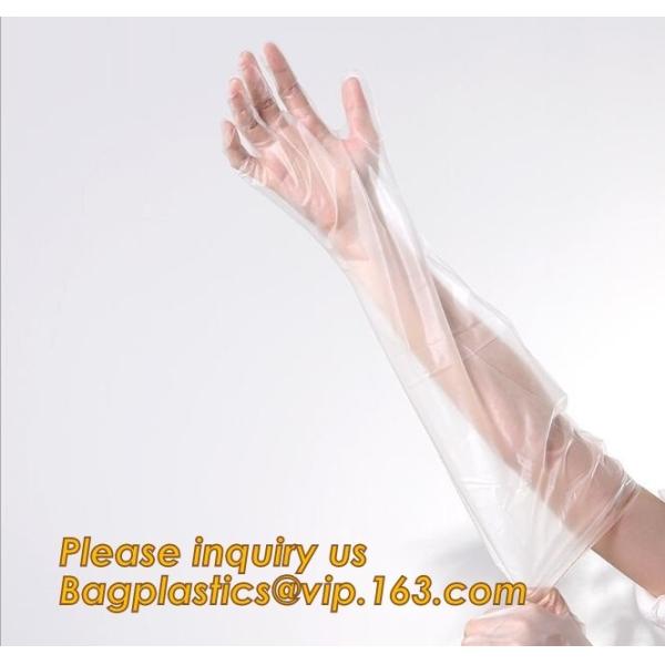 Biodegradable Pe Plastic Disposable Clean Gloves,Wholesale sanitary recyclable