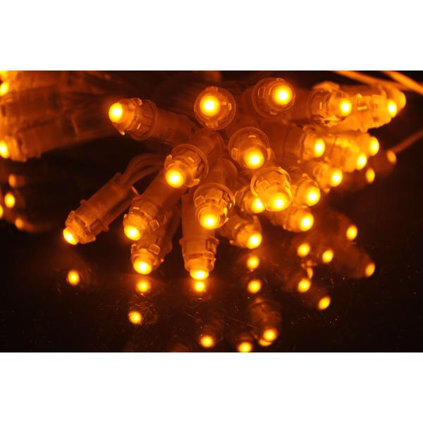 Anti UV 12V Miracle Bean Rgb Led Pixels 9mm Epistar Chip Pvc F5