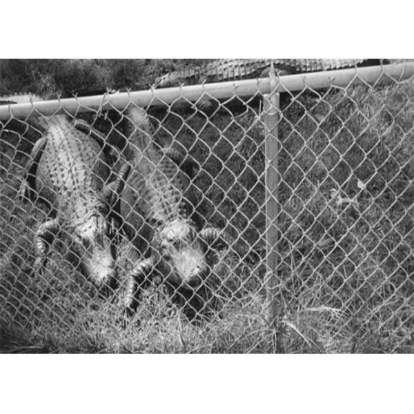 Quality Easy To Install 4mm 4m Length Galvanized Chain Link Fence wholesale