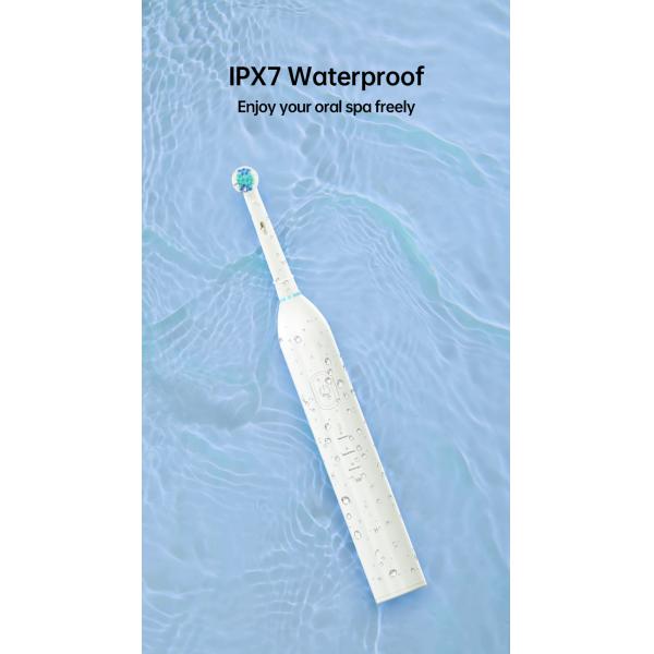 3 Working Modes IPX7 Waterproof Rotating Electric Toothbrush