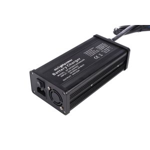 OCP OLP OVP 600W EV Battery Charger With C13 DC Plug Anderson Plug