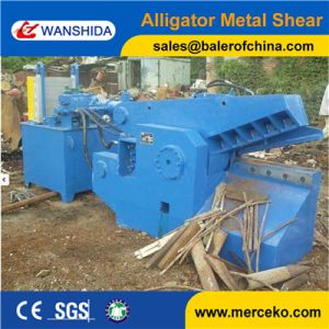 China China manufacturer hydraulic Scrap Alligator Shear Q43-1200 manual feeding with 15kw motor power on sale