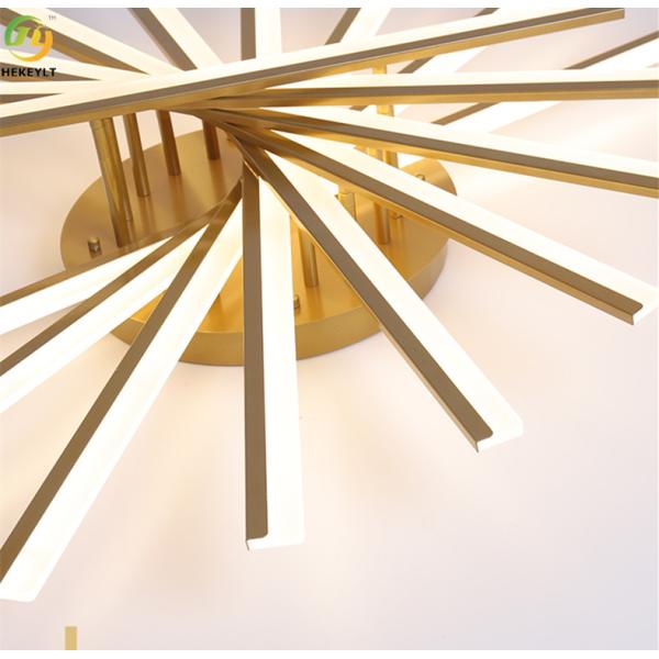 Used For Home/Hotel LED Simple Modern Fashionable Ceiling Light