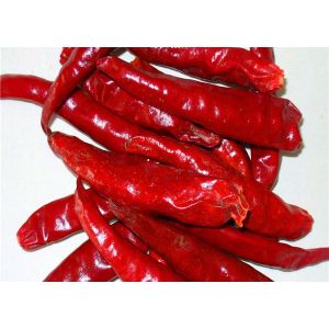 20000SHU Dried Chinese Chilis Vacuume Packing Spicy Chaotian / Tianjin Chilli