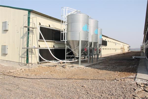 Modern Design Waterproof Thermal Insulation Chicken House Laying Chicken House Steel Structure Poultry House