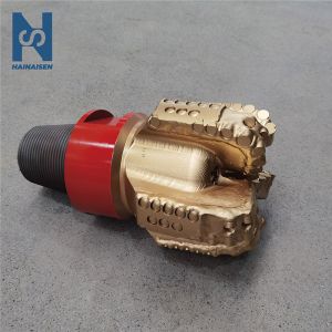 China Sintering Polycrystalline Diamond Drill Bits 5 Blade Steel Diamond PDC on sale