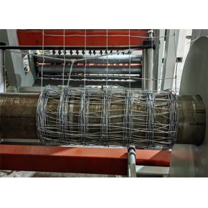 Hot Dipped Galvanized Heavy Duty Field Fence 8 Foot Field Fence Types