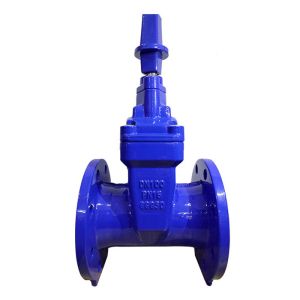 Multipurpose General Ductile Iron CI Water Gate Valves EN1171 design