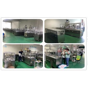 Customized Suppository Filling And Sealing Machine Automatic Making Equipment