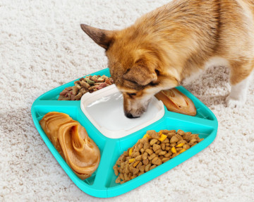 Quality Pet Puzzle Slow Feeder IQ Interactive Training Toy wholesale